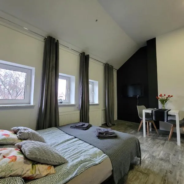 Apartamenty Parkowe nr 9, hotel in Kwidzyn