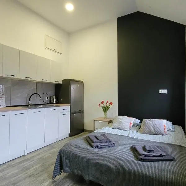 Apartamenty Parkowe nr 9, khách sạn ở Kwidzyn