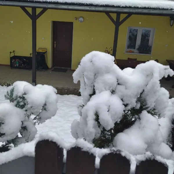 Všeborky, ξενοδοχείο σε Dalovice