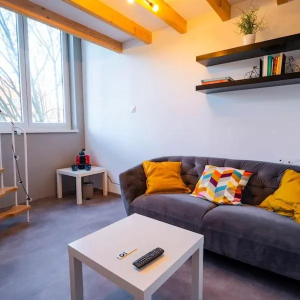 Studio mezzanine à 20 min de Strasbourg, hotel in Duttlenheim