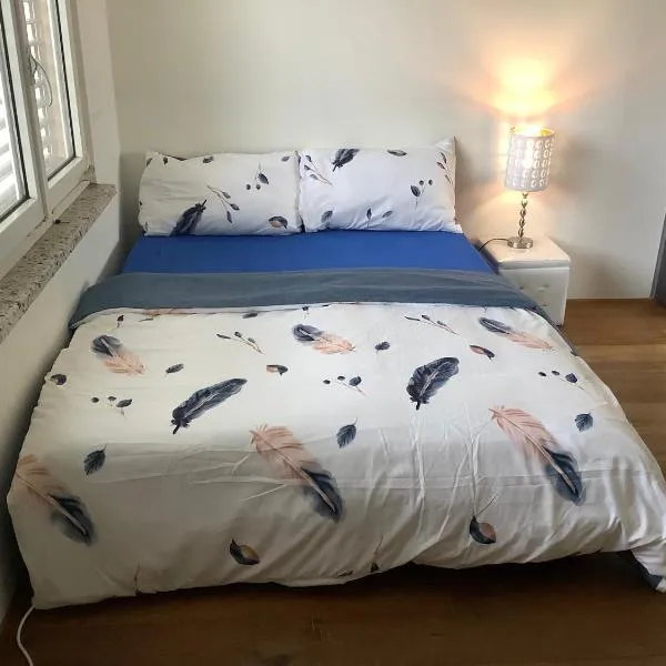 Chambre spacieuse, lumineuse et reposante, hotel in Oetwil an der Limmat