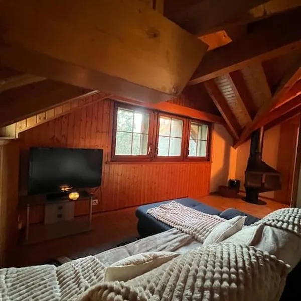 Pleine altitude, hotel in Sion