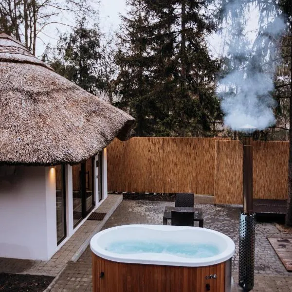 Tree House Relax Park, hotel in Chişinău