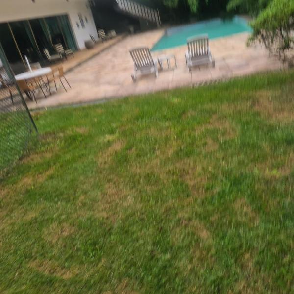 casa no Morumbi campo de futebol e piscina - Foto 3