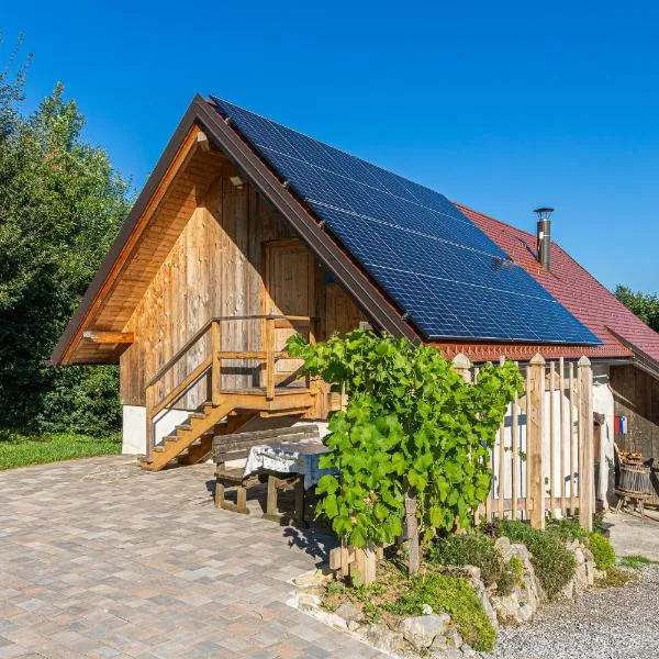 Vineyard cottage Škatlar 3, hotel v destinaci Otočec