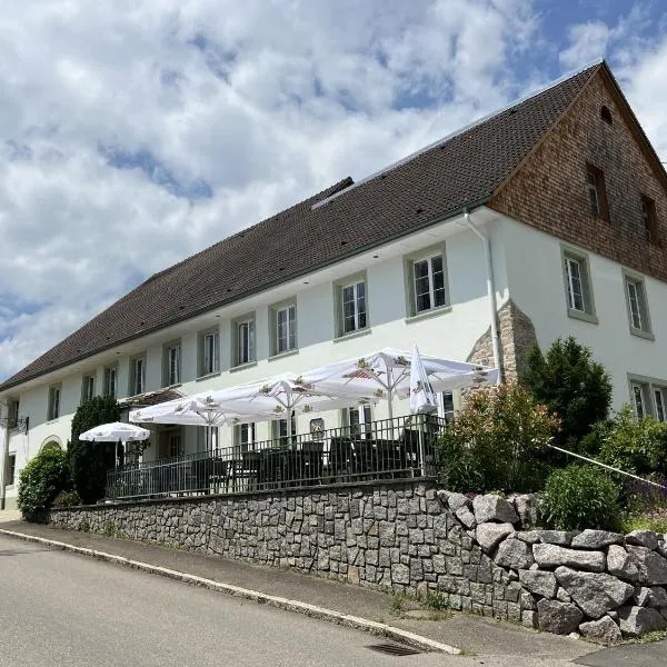 Hotel Engel Buch, hotel v destinaci Albbruck