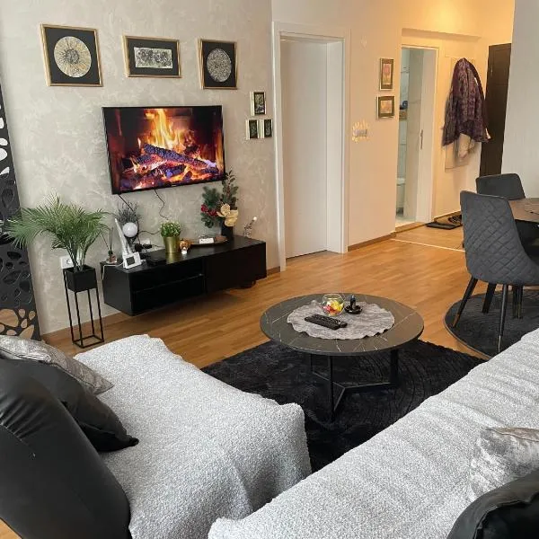 Ria apartman, Hotel in Valjevo