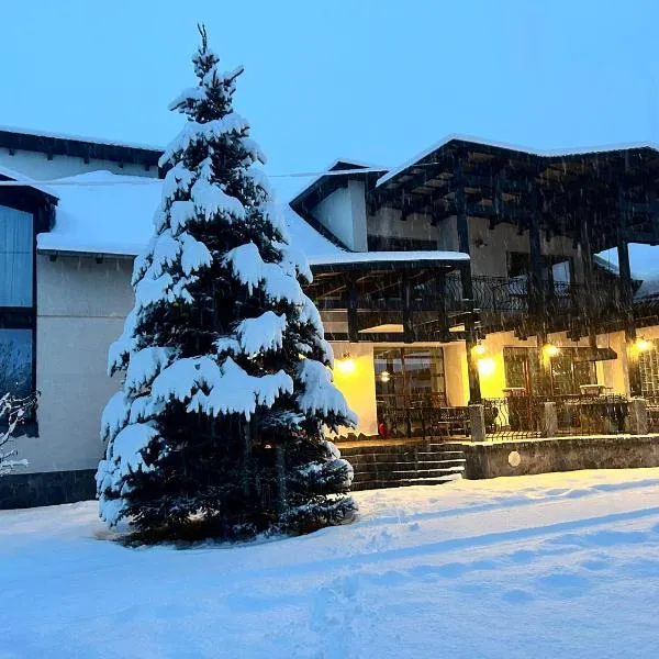 Vila TeoNa, hotel v destinaci Topliţa