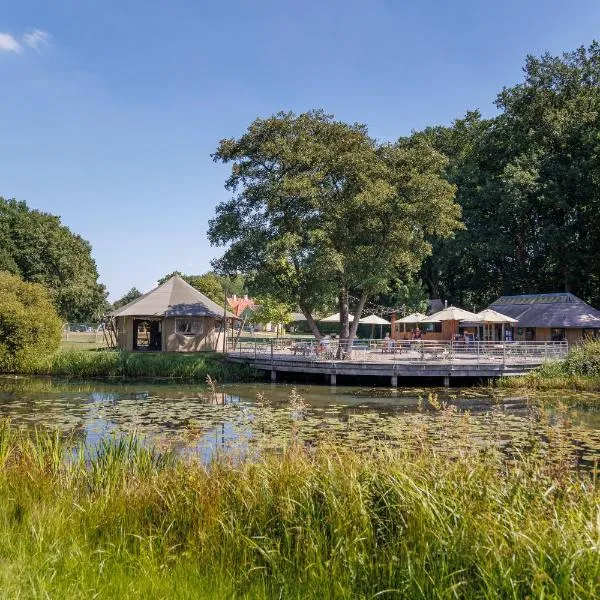 Chalets De Roos, hotel v destinaci Beerze