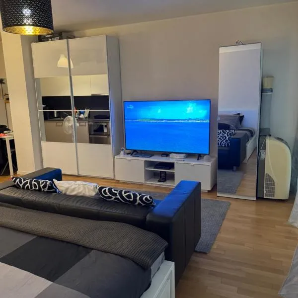 Apartamento Ginebra ch, hotel en Ginebra