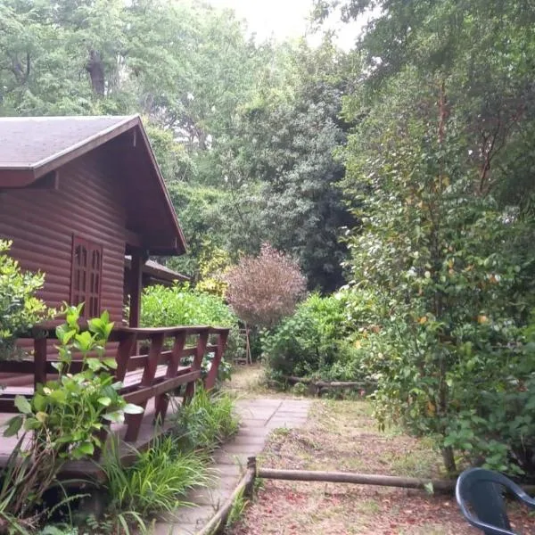 Casa Pucon, hotel v destinaci Pucón