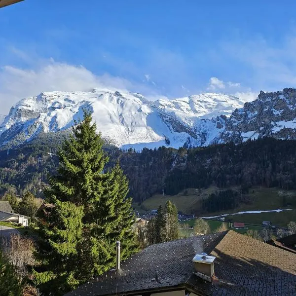 Luxury Escape - Titlis Panorama, hotel in Engelberg