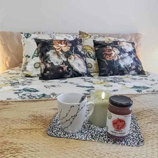 proche de Paris, ENTRE GUILLEMETS, Terrasse privée, 2 chambres, Parking privé, hotel in Brétigny-sur-Orge