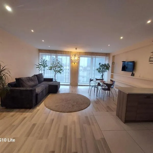 four room's apartments, hotel a Vilnius