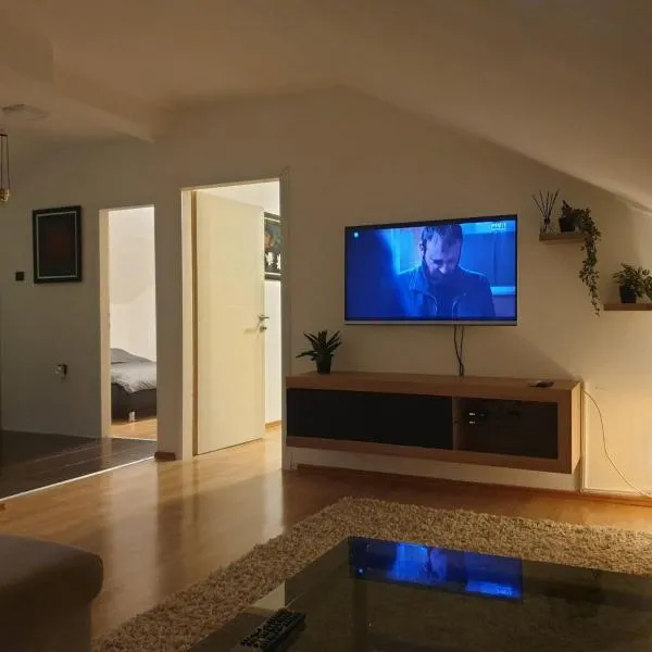 Cozy Place, hotel a Pavi°evac