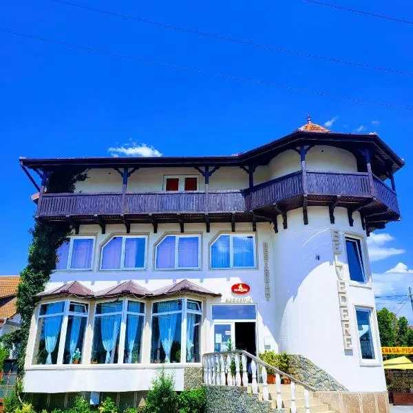 Vila Belvedere, hotel in Haţeg