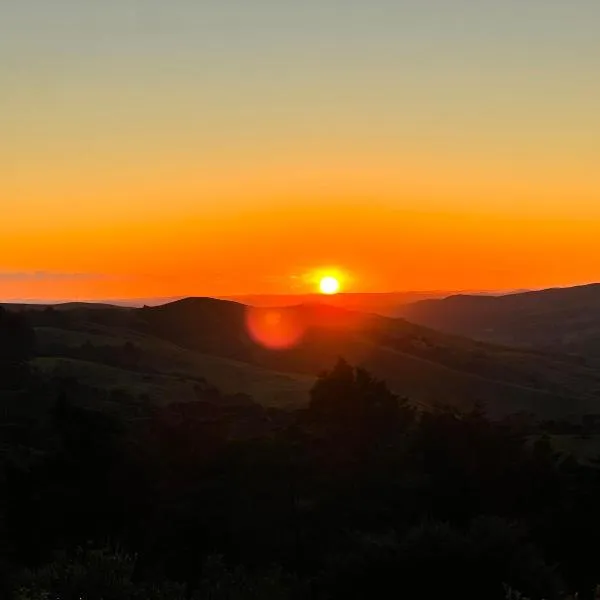 Matakana view, hotel in Big Omaha