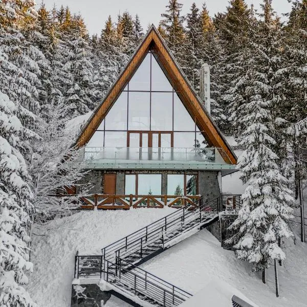 Sofia - Mountain Home, hotel in Kopaonik