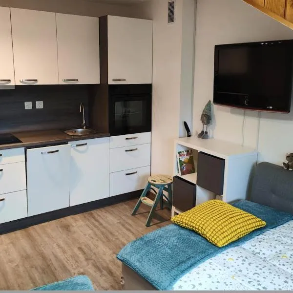 Apartment Misty Forest, hotel v destinaci Kranjska Gora