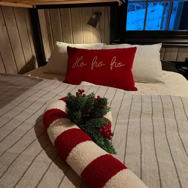 Trysil Moderna Lodge, hotel in Trysil