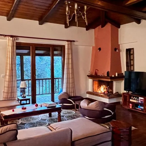 Del Mountain Chalet Arachova、アラコバのホテル