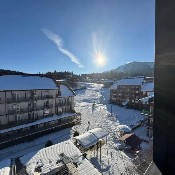 Bakuriani Mgzavrebi Block 9 Aparment 501, hotel v destinaci Bakuriani