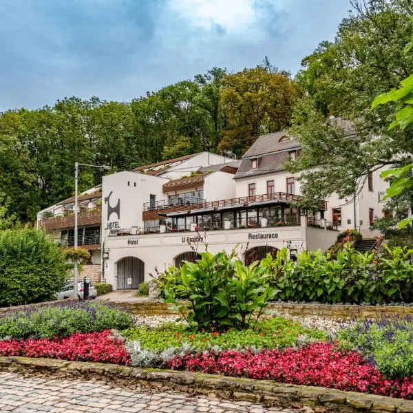 Hotel U Kozicky, hotel v destinaci Teplice