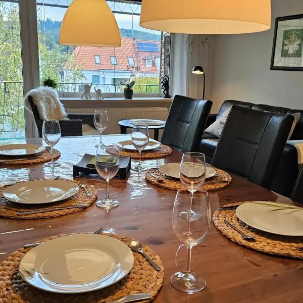 Ferienwohnung in zentraler und ruhiger Lage mit Balkon, fußläufig zur Innenstadt, hotel v destinaci Hameln