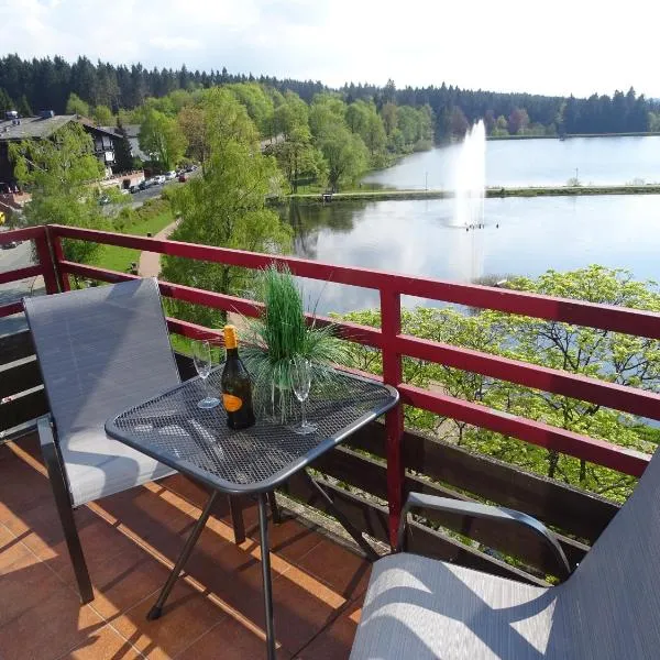 Sweet Harz, hotel in Hahnenklee-Bockswiese