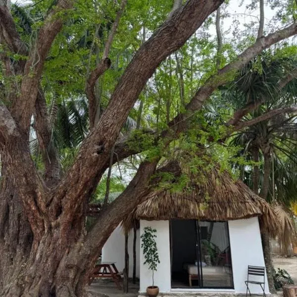 Cabañas Camping Ria Celestun, hotel in Celestún