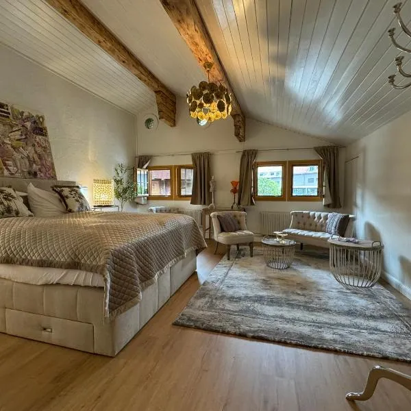 Chalet-Simmi, hotel din Wimmis