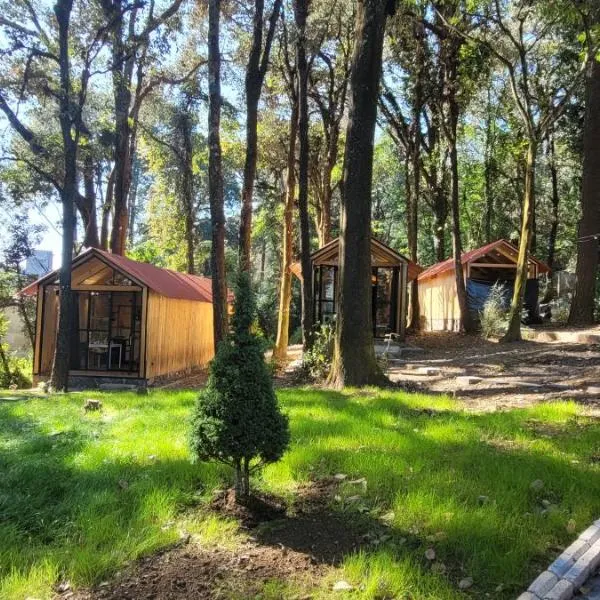 Cabañas Vive el Bosque, hotel in Coajomulco