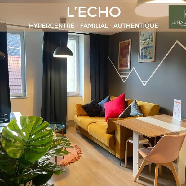 Hypercentre, atypique, familial - L'écho, hotel in Pontarlier