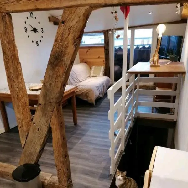 bel appartement, hotel v destinaci Mirepoix