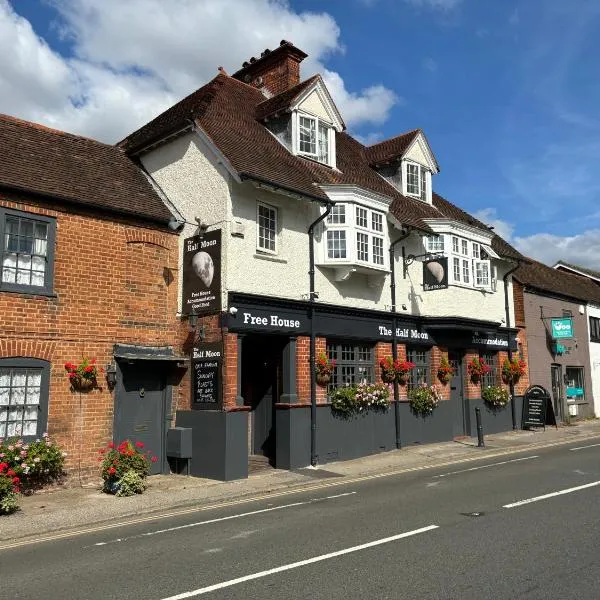 The Half Moon Inn, hotel v destinaci Woking