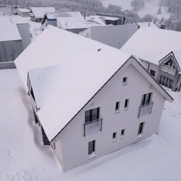 Trek apartment Klínovec by Mountain ways – hotel w mieście Loučná pod Klínovcem