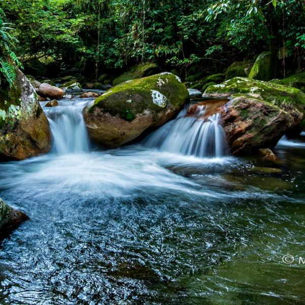 Grajagan Mata Atlântica - Foto 3