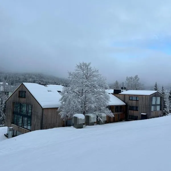 Rezidence Alpina, hotel din Špindlerův Mlýn