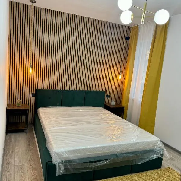 Magnum place, hotel in Timişoara