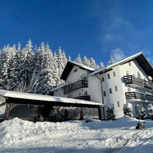 Pensiunea Silvania, hotel en Statiunea Borsa