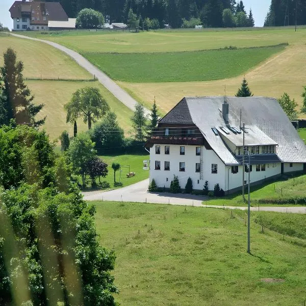 Gasthaus-pension zum Löwen, hotel in Grafenhausen