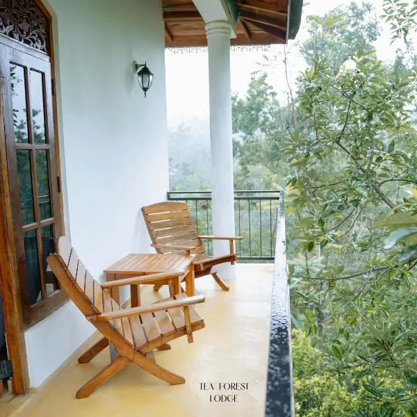 Tea Forest Lodge، فندق في إيلا