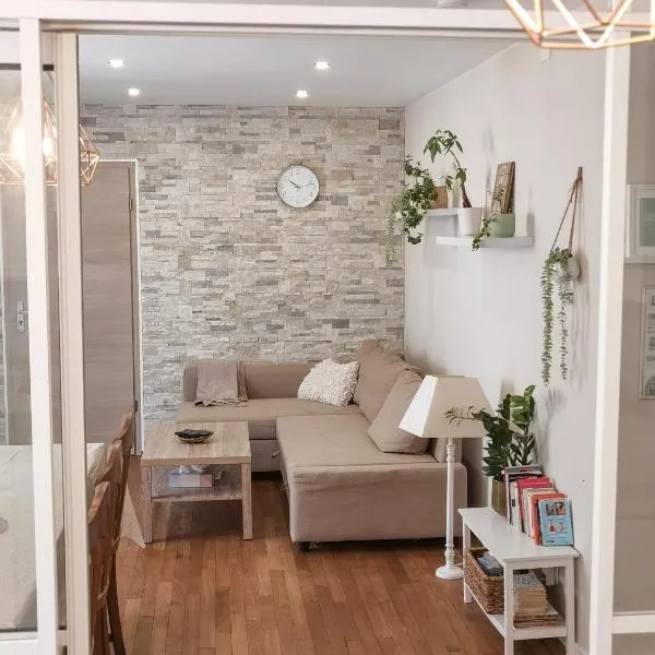 Verrière & parement en centre-ville, hotel v destinaci Épinal