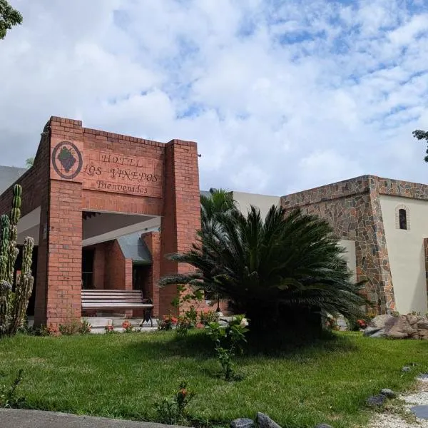 Hotel Los Viñedos, hotel v destinaci La Unión