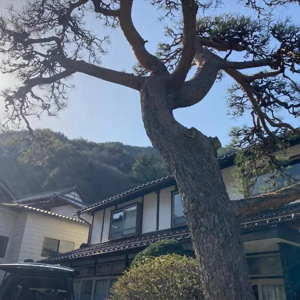 TAZAWA BOSSA inn, hotel v destinaci Aoki