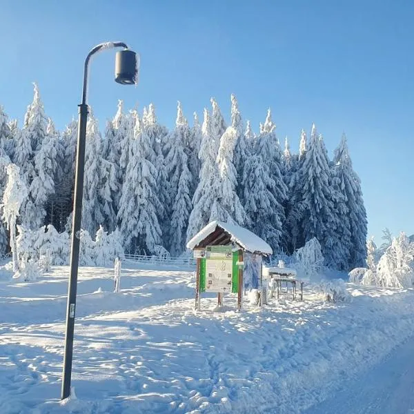 Haus Schneider: Winterberg'de bir otel