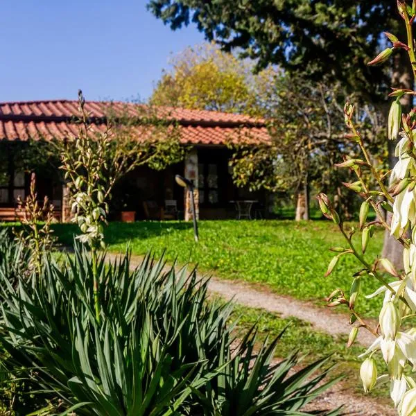 Country House Bel Giardino, hotel v destinaci Gavorrano