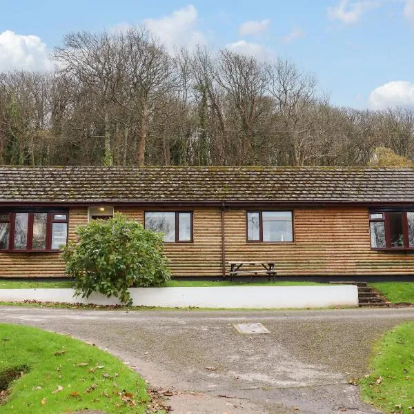 Castle View Lodge, hotel in Ilfracombe