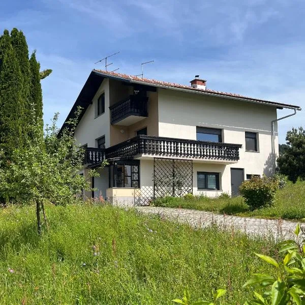 Apartment River, hotel di Vitanje