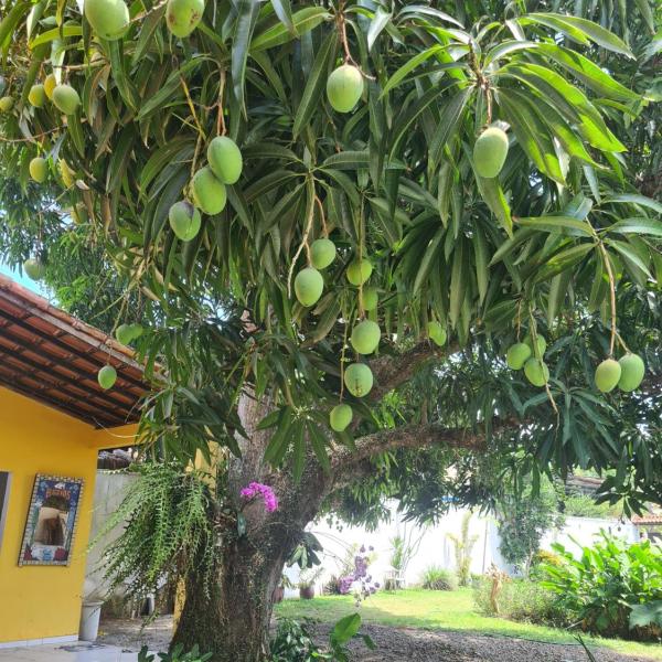 Apt Cristal -Geribá Residence - Foto 5
